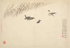Album of Calligraphy and Paintings, 18th Century. Creator: Bian Shoumin (Chinese, 1684-1752)
