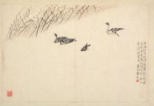 Album of Calligraphy and Paintings, 18th Century. Creator: Bian Shoumin (Chinese, 1684-1752)
