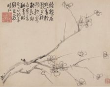Album of Blossoming Plum, 1742. Creator: Li Fangying