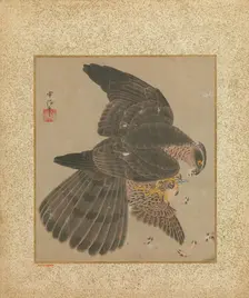 Album of Hawks and Calligraphy, 17th-18th century. Creator: Kanô Yôboku Tsunenobu