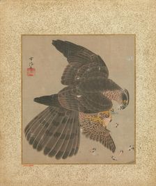 Album of Hawks and Calligraphy, 17th-18th century. Creator: Kanô Yôboku Tsunenobu