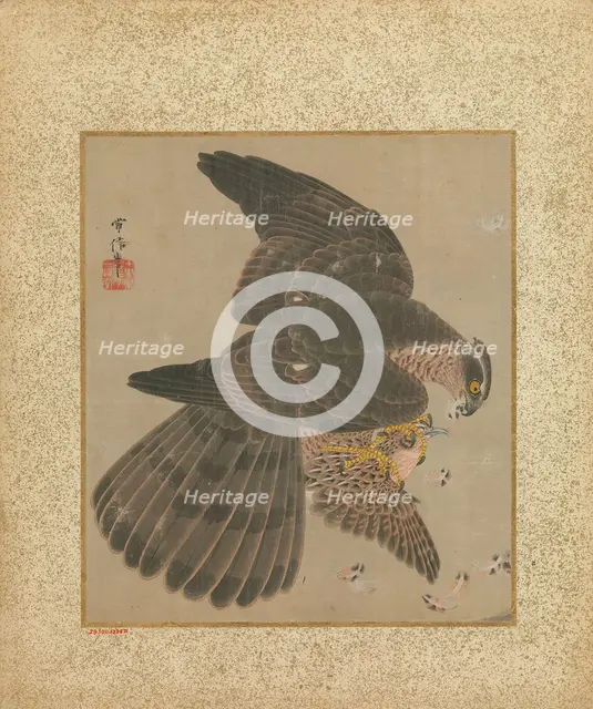 Album of Hawks and Calligraphy, 17th-18th century. Creator: Kanô Yôboku Tsunenobu.