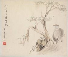 Album of Landscape Paintings Illustrating Old Poems: A Man Sits on a Water Buffalo, 1700s. Creator: Hua Yan (Chinese, 1682-about 1765)