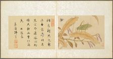 Album of Miscellaneous Subjects, Leaf 7, 1600s. Creator: Fan Qi (Chinese, 1616-aft 1694)