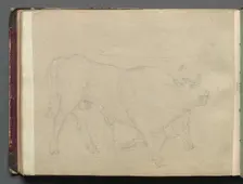 Album with Views of Rome and Surroundings, Landscape Studies, page 51b: Study of a Bull. Creator: Franz Johann Heinrich Nadorp (German, 1794-1876)