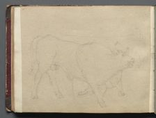 Album with Views of Rome and Surroundings, Landscape Studies, page 51b: Study of a Bull. Creator: Franz Johann Heinrich Nadorp (German, 1794-1876)