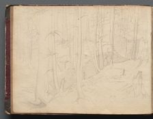 Album with Views of Rome and Surroundings, Landscape Studies, page 01b: Roman Landscape. Creator: Franz Johann Heinrich Nadorp (German, 1794-1876)