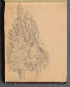 Album with Views of Rome and Surroundings, Landscape Studies, page 13a: Trees. Creator: Franz Johann Heinrich Nadorp (German, 1794-1876)