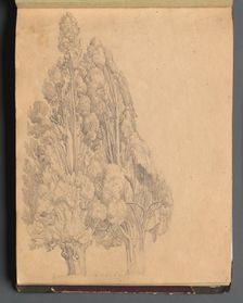 Album with Views of Rome and Surroundings, Landscape Studies, page 13a: Trees. Creator: Franz Johann Heinrich Nadorp (German, 1794-1876)