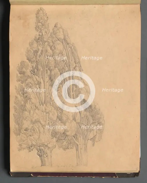 Album with Views of Rome and Surroundings, Landscape Studies, page 13a: Trees. Creator: Franz Johann Heinrich Nadorp (German, 1794-1876).