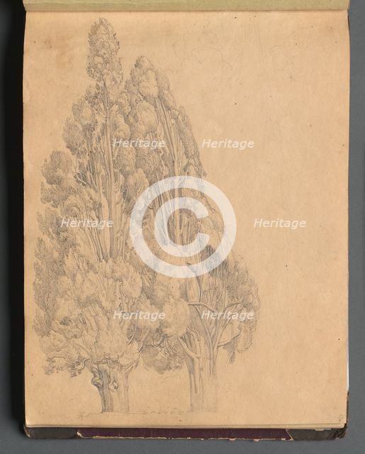 Album with Views of Rome and Surroundings, Landscape Studies, page 13a: Trees. Creator: Franz Johann Heinrich Nadorp (German, 1794-1876).