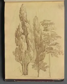 Album with Views of Rome and Surroundings, Landscape Studies, page 15a: Trees. Creator: Franz Johann Heinrich Nadorp (German, 1794-1876)