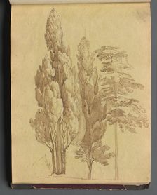 Album with Views of Rome and Surroundings, Landscape Studies, page 15a: Trees. Creator: Franz Johann Heinrich Nadorp (German, 1794-1876)