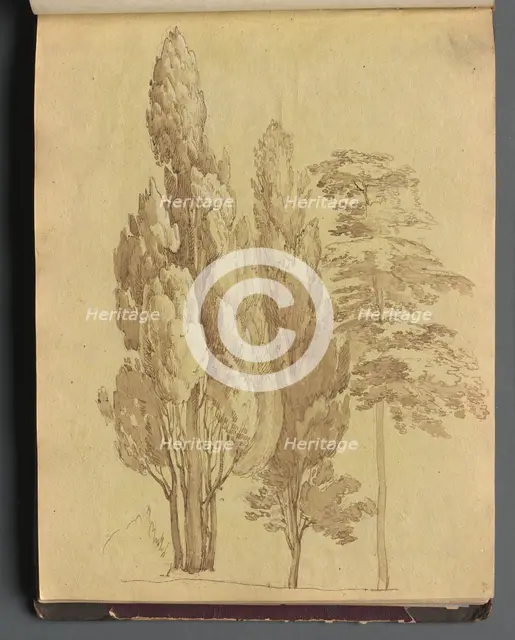Album with Views of Rome and Surroundings, Landscape Studies, page 15a: Trees. Creator: Franz Johann Heinrich Nadorp (German, 1794-1876).