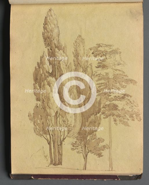 Album with Views of Rome and Surroundings, Landscape Studies, page 15a: Trees. Creator: Franz Johann Heinrich Nadorp (German, 1794-1876).