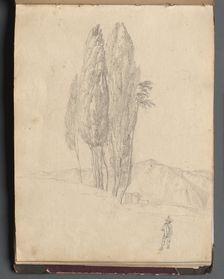 Album with Views of Rome and Surroundings, Landscape Studies, page 20a: Trees. Creator: Franz Johann Heinrich Nadorp (German, 1794-1876)