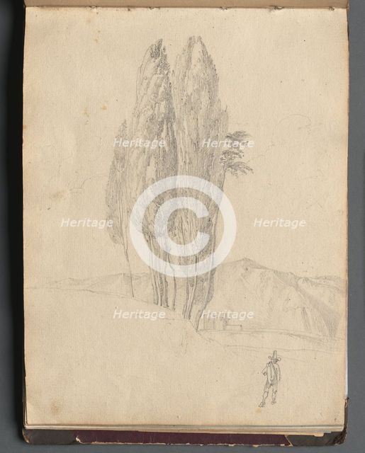 Album with Views of Rome and Surroundings, Landscape Studies, page 20a: Trees. Creator: Franz Johann Heinrich Nadorp (German, 1794-1876).