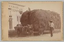 Albumen print of a man with a full hay cart, 1894-1904. Creator: E. K. Blush