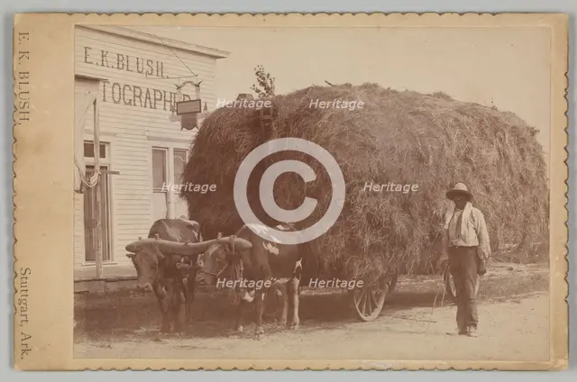 Albumen print of a man with a full hay cart, 1894-1904. Creator: E. K. Blush.