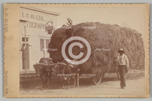Albumen print of a man with a full hay cart, 1894-1904. Creator: E. K. Blush.