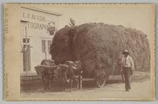 Albumen print of a man with a full hay cart, 1894-1904. Creator: E. K. Blush
