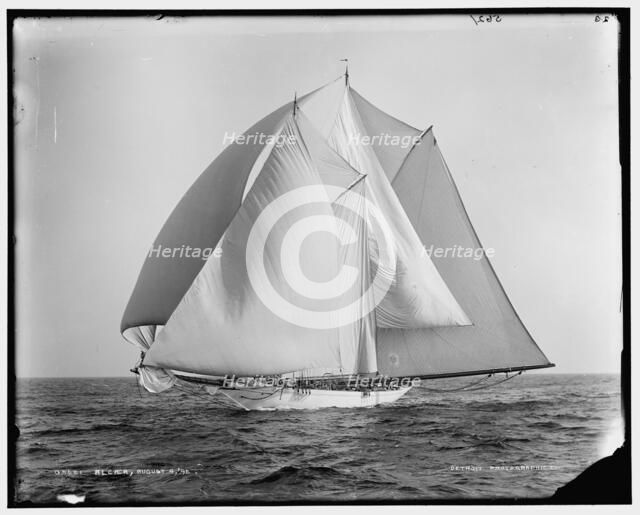 Alcaea, 1892 Aug 4. Creator: Unknown.