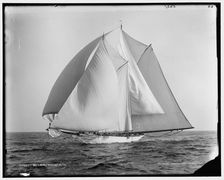 Alcaea, 1892 Aug 4. Creator: Unknown