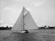 Alcedo, 1890 July 12. Creator: John S Johnston