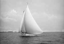 Alcedo, 1890 July 12. Creator: John S Johnston