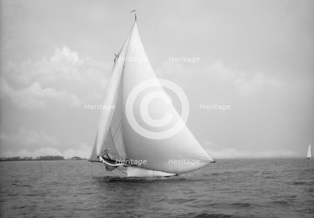 Alcedo, 1890 July 12. Creator: John S Johnston.