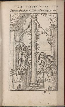 Alchemical apparatus (From: Liber de secretis naturae), 1556-1557. Artist: Ulstadius (Ulstadt), Philipus (Philip) (active 16th century)