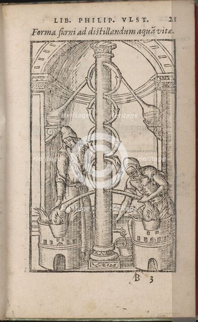 Alchemical apparatus (From: Liber de secretis naturae), 1556-1557. Artist: Ulstadius (Ulstadt), Philipus (Philip) (active 16th century)
