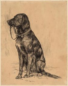 Aldrich's Dog, late 1880s. Creator: Arthur Davies