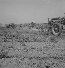 Aldridge Plantation, Mississippi, 1937. Creator: Dorothea Lange
