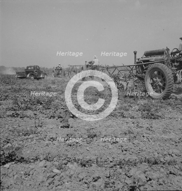 Aldridge Plantation, Mississippi, 1937. Creator: Dorothea Lange.