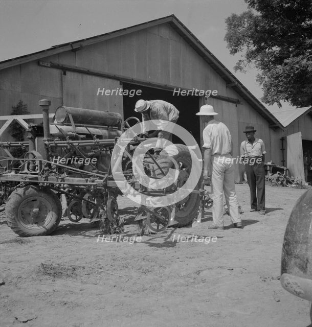 Aldridge Plantation, Mississippi, 1937. Creator: Dorothea Lange.