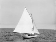 Alerion, 1899 July 29. Creator: John S Johnston