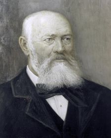 Alexander Ostrovsky, Russian playwright, 1884. Artist: Alexander Lensky