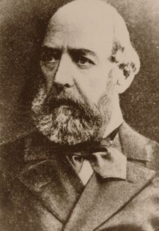 Alexander Ivanovich Palm (1822-1885), 1860s