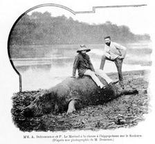 Alexandre Delcommune and Paul Le Marinel hunting hippopotamus,...Congo late 19th-early 20th century. Creator: Unknown