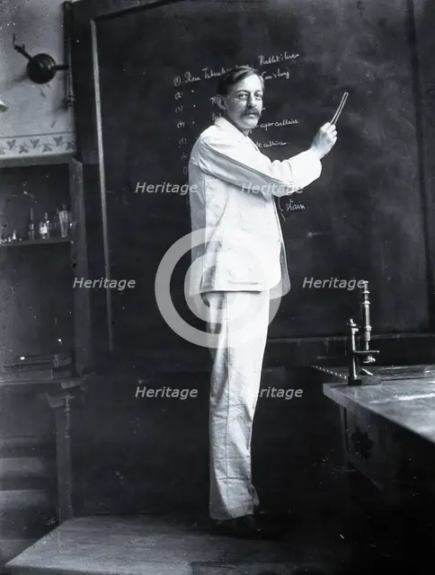 Alfredo Antunes Kanthack, c1898. Creator: Unknown.