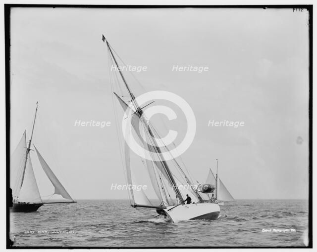 Alga, 1891 July 16. Creator: Unknown.