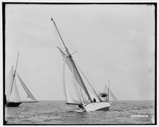 Alga, 1891 July 16. Creator: Unknown