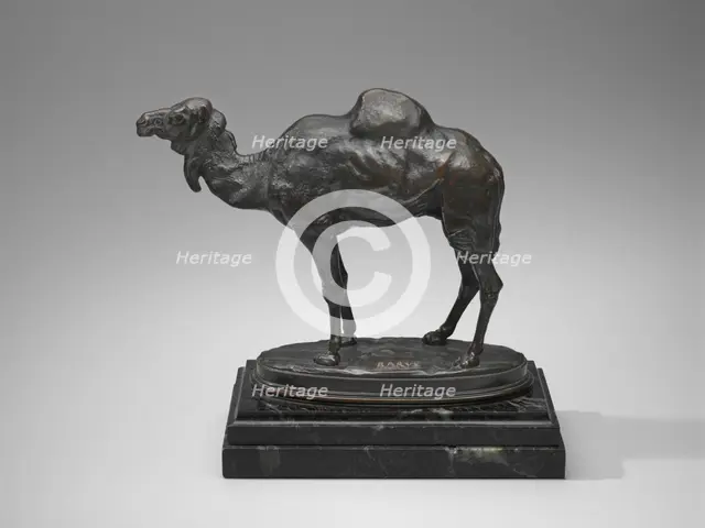 Algerian Dromedary, model date unknown, cast after 1862. Creator: Antoine-Louis Barye.