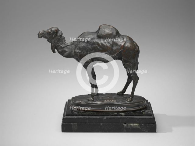 Algerian Dromedary, model date unknown, cast after 1862. Creator: Antoine-Louis Barye.