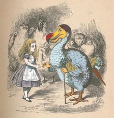 Alice and the Dodo 1889. Artist: John Tenniel