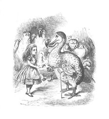 Alice and the Dodo 1889. Artist: John Tenniel