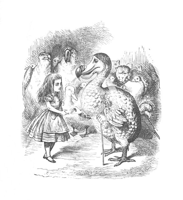 'Alice and the Dodo', 1889. Artist: John Tenniel.