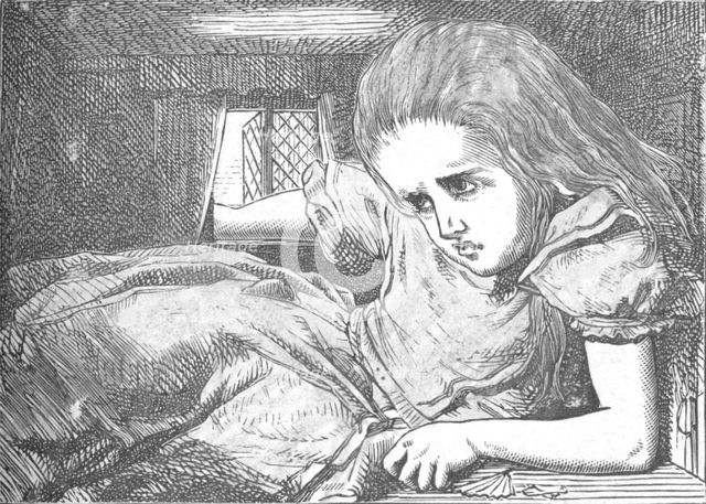 'Alice, as she grows larger', 1889. Artist: John Tenniel.