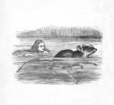 Alice swimming with a mouse in a pool 1889. Artist: John Tenniel